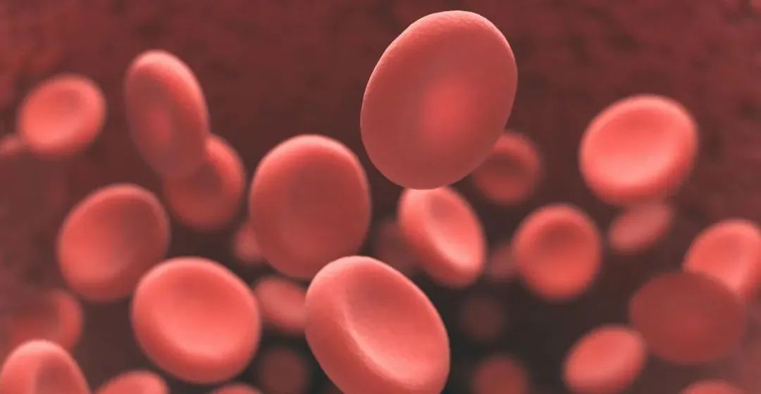 微信图片_20220926085949.jpg 微信图片_20220926085949.jpg